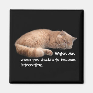 Sleeping Ginger Cat Funny Weckte Me Quote Magnet