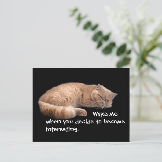 Sleeping Ginger Cat Funny Weckte Me Quote Postkarte (Stehend Vorderseite)