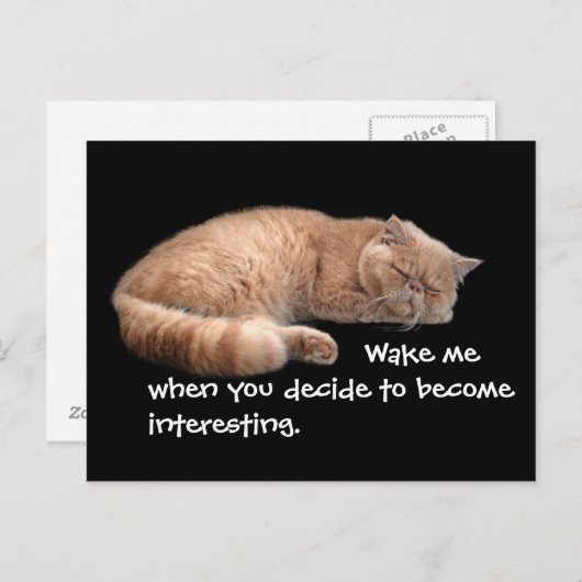 Sleeping Ginger Cat Funny Weckte Me Quote Postkarte (Vorne/Hinten)