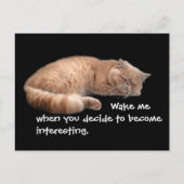 Sleeping Ginger Cat Funny Weckte Me Quote Postkarte (Vorderseite)