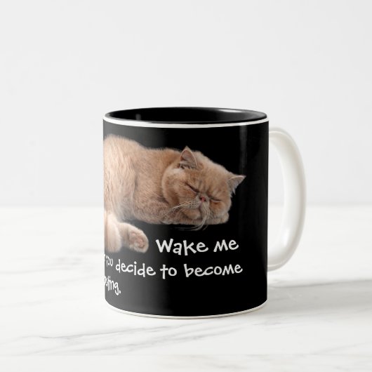 Sleeping Ginger Cat Funny Weckte Me Quote Zweifarbige Tasse (VorderseiteRechts)