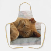 Sleeping Ginger Cat Schürze (Vorderseite)