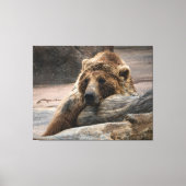 Sleeping Grizzly Bär gestreckte Canvas Print Leinwanddruck (Vorderseite)