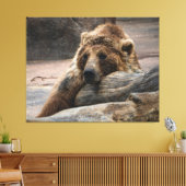 Sleeping Grizzly Bär gestreckte Canvas Print Leinwanddruck (Insitu (Wohnzimmer))