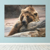 Sleeping Grizzly Bär gestreckte Canvas Print Leinwanddruck (Insitu (Holzboden))