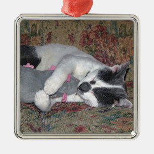 Sleeping Kitten Silbernes Ornament