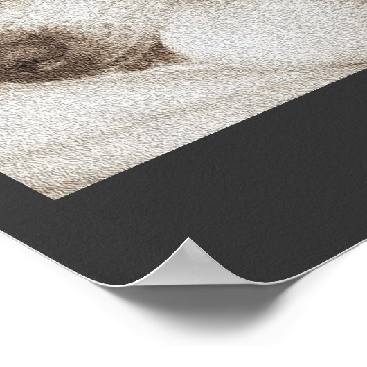 sleeping old akita dog animal sympathy poem poster (Ecke)