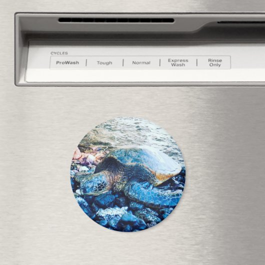 Sleeping Turtle Magnet (In Situ (Geschirrspüler))