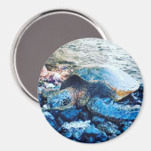 Sleeping Turtle Magnet (Vorderseite/Rückseite)