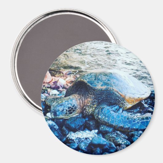 Sleeping Turtle Magnet (Vorderseite/Rückseite)