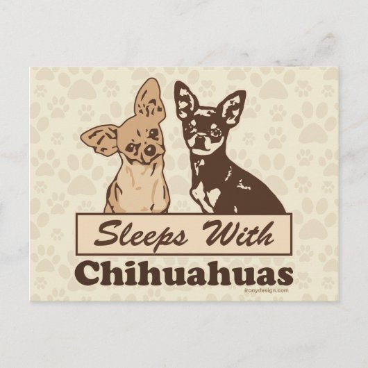 Sleeps With Chihuahuas Postkarte (Vorderseite)