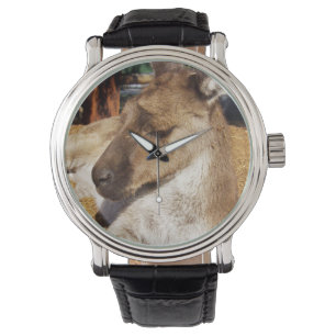 Sleepy australische Kangaroo, Mens Leather Watch. Armbanduhr
