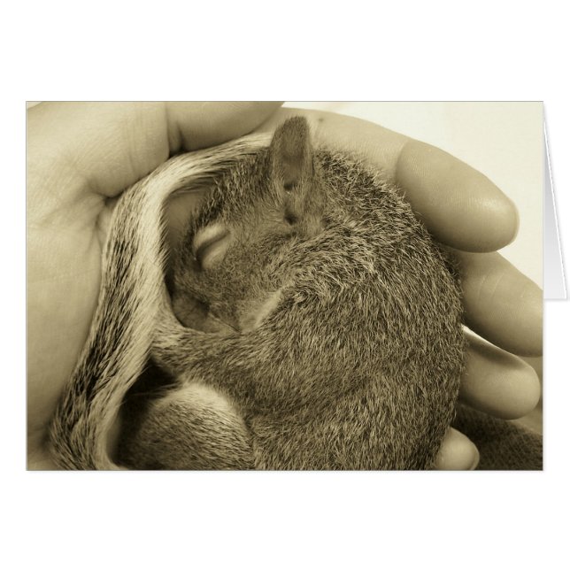 Sleepy Baby (Vorderseite (Horizontal))