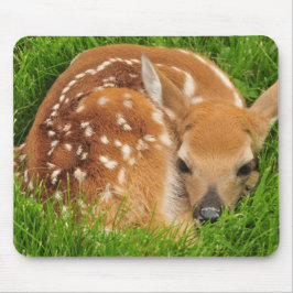 Sleepy Baby Fawn Mousepad