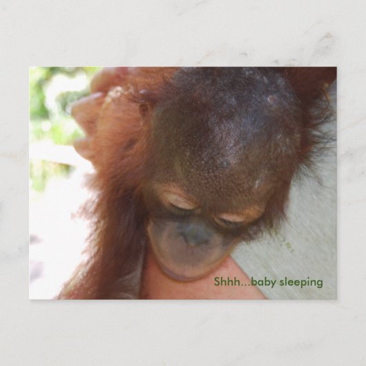 Sleepy Baby Orangutan in Daddys Waffen Postkarte (Vorderseite)