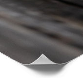 Sleepy Barn Owl Poster (Ecke)