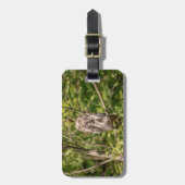 Sleepy Barred Owl Gepäckanhänger (Vorderseite vertikal)