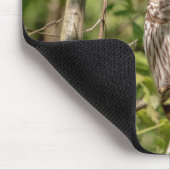 Sleepy Barred Owl Mousepad (Ecke)