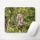 Sleepy Barred Owl Mousepad (Mit Mouse)