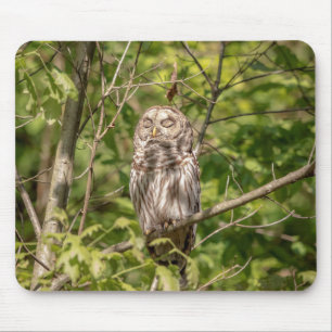 Sleepy Barred Owl Mousepad