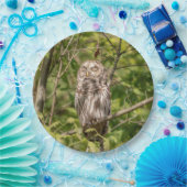Sleepy Barred Owl Pappteller (Party)