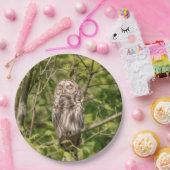 Sleepy Barred Owl Pappteller (Party)