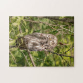 Sleepy Barred Owl Puzzle (Horizontal)