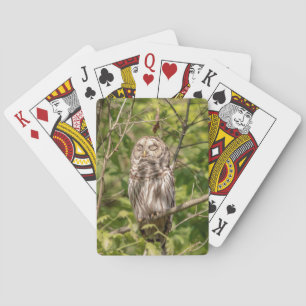 Sleepy Barred Owl Spielkarten