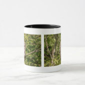 Sleepy Barred Owl Tasse (Zentrum)