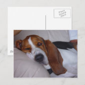 Sleepy Basset Hound Postkarte (Vorne/Hinten)