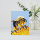 Sleepy Bee Postkarte (Stehend Vorderseite)