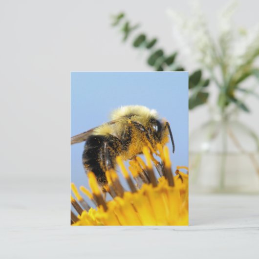 Sleepy Bee Postkarte (Stehend Vorderseite)