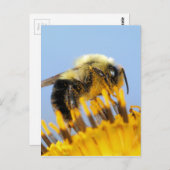 Sleepy Bee Postkarte (Vorne/Hinten)