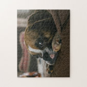 Sleepy Boxer Dog Puzzle (Vertikal)