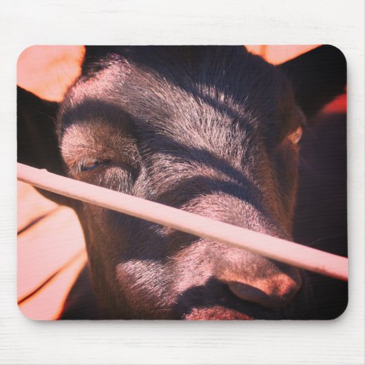 Sleepy Bull Farm Animal Nature Mousepad (Vorne)