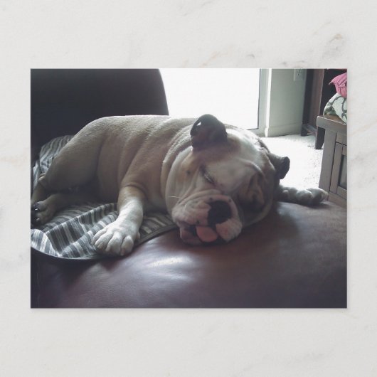 Sleepy Bulldog Postkarte (Vorderseite)