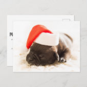 Sleepy Bulldog Puppy Christmas Postkarte (Vorne/Hinten)