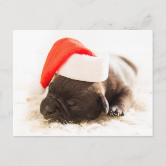 Sleepy Bulldog Puppy Christmas Postkarte (Vorderseite)