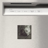 Sleepy cairn Terrier Magnet (In Situ (Geschirrspüler))