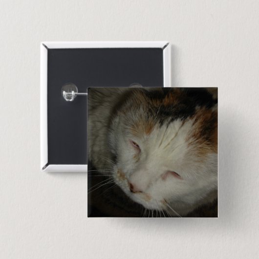 Sleepy Calico Cat Button (Vorne & Hinten)