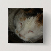 Sleepy Calico Cat Button (Vorderseite)