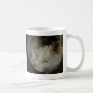 Sleepy Calico Cat Kaffeetasse