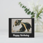 Sleepy Calico Cat Niedlich Happy Birthday Postkarte (Stehend Vorderseite)