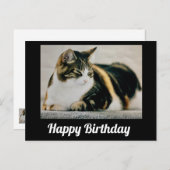 Sleepy Calico Cat Niedlich Happy Birthday Postkarte (Vorne/Hinten)