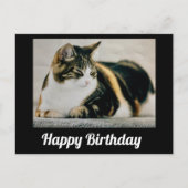 Sleepy Calico Cat Niedlich Happy Birthday Postkarte (Vorderseite)