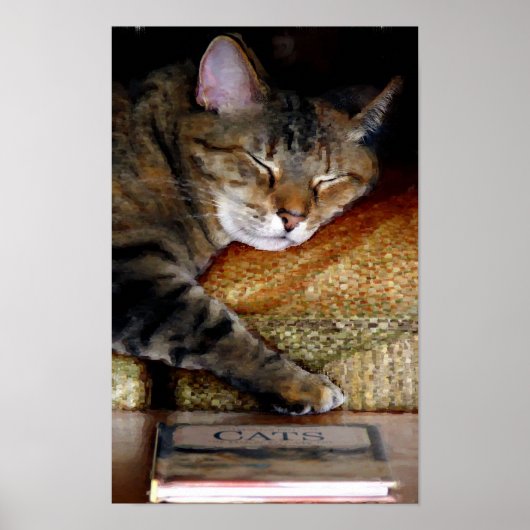 Sleepy Cat Book Painting Poster (Vorne)
