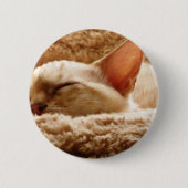Sleepy Cat Button (Vorderseite)