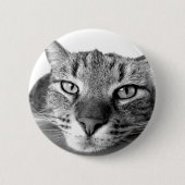 Sleepy Cat Button (Vorderseite)