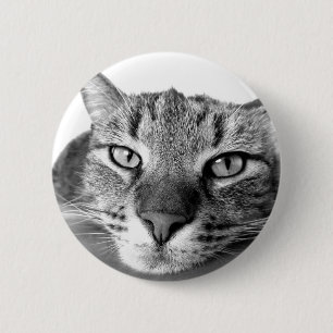 Sleepy Cat Button