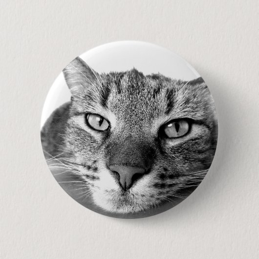 Sleepy Cat Button (Vorderseite)